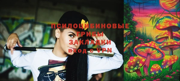 прущие грибы Саяногорск