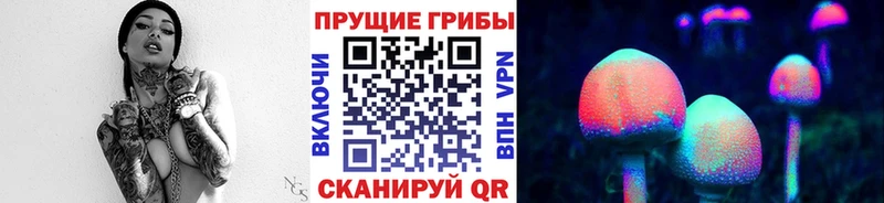 Купить закладки  Геленджик  Псилоцибиновые грибы мухоморы 